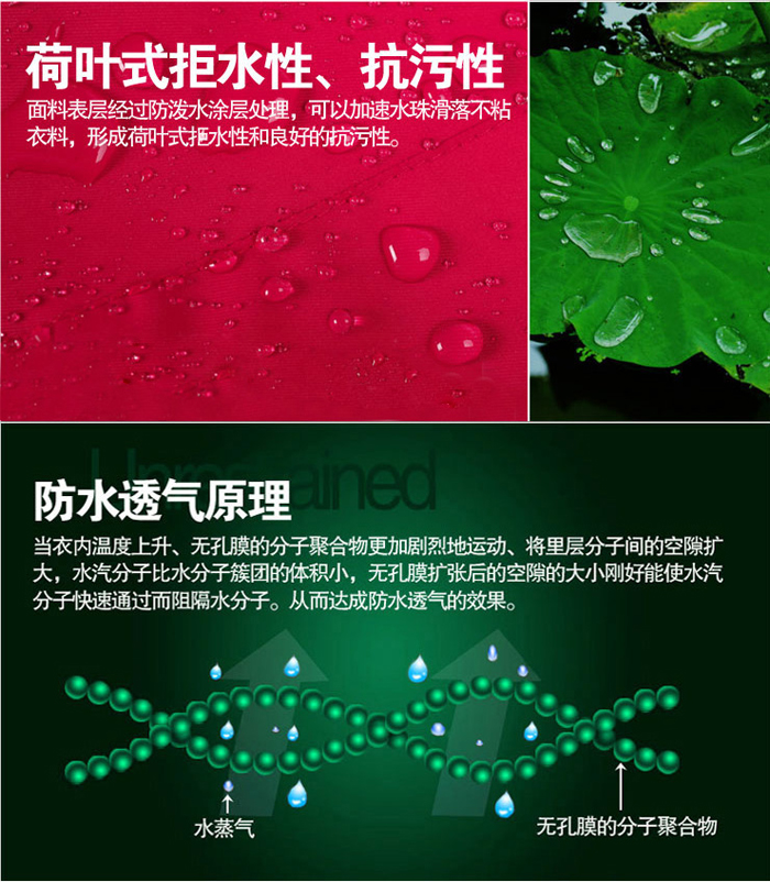 荷葉性拒水性，坑污性圖片